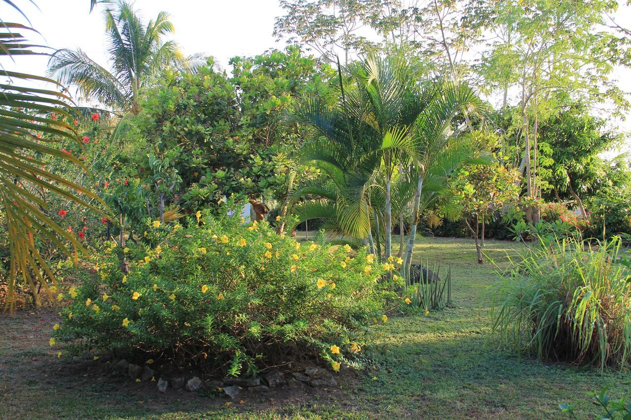 Cabanas La Casa De Pucha Pedasi Town Exteriér fotografie